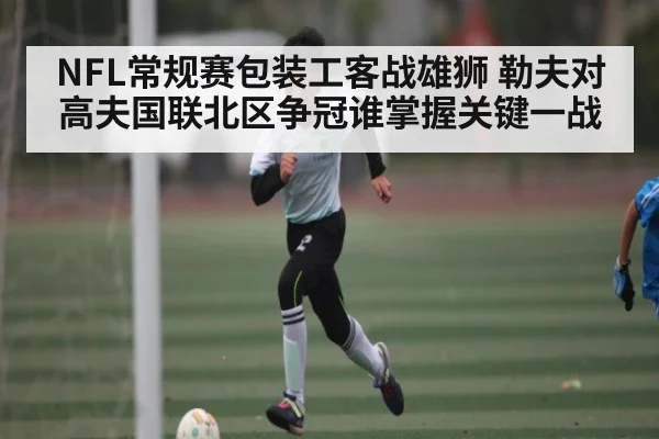 NFL常规赛包装工客战雄狮 勒夫对高夫国联北区争冠谁掌握关键一战